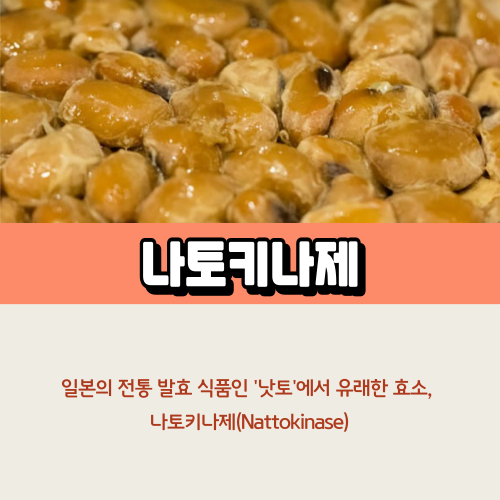 나토키나제