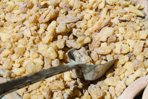 보스웰리아 효능13