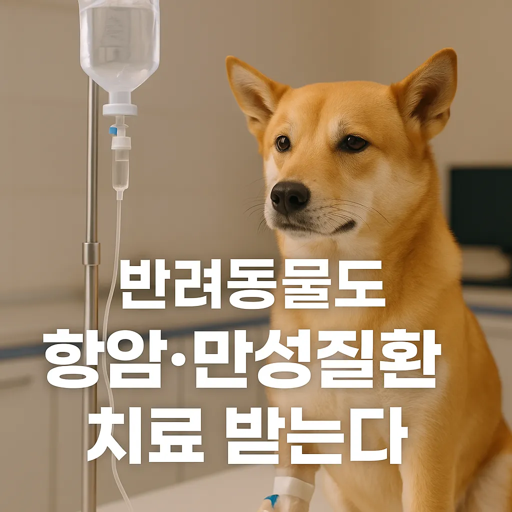 반려동물도 항암&middot;만성질환 치료 받는다