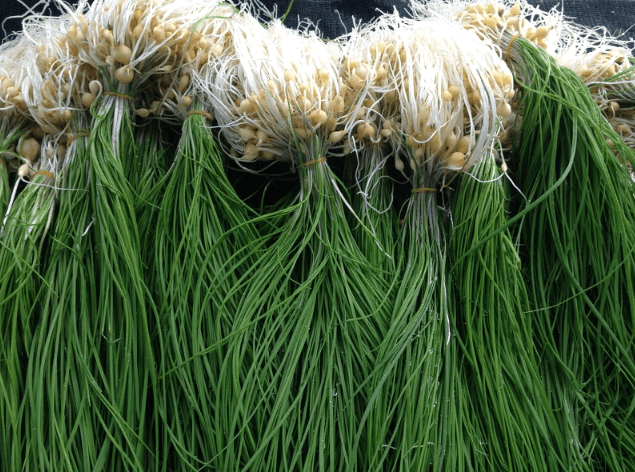 왼쪽부터 두릅&amp;#44; 달래&amp;#44; 쑥