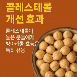 병아리콩 효능