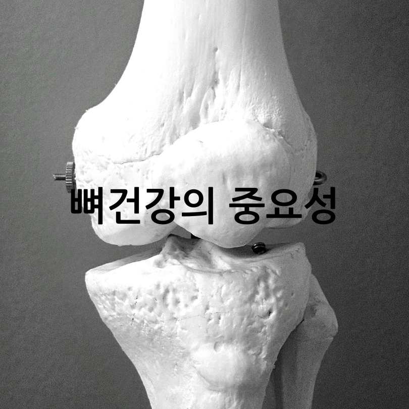 뼈튼튼운동법