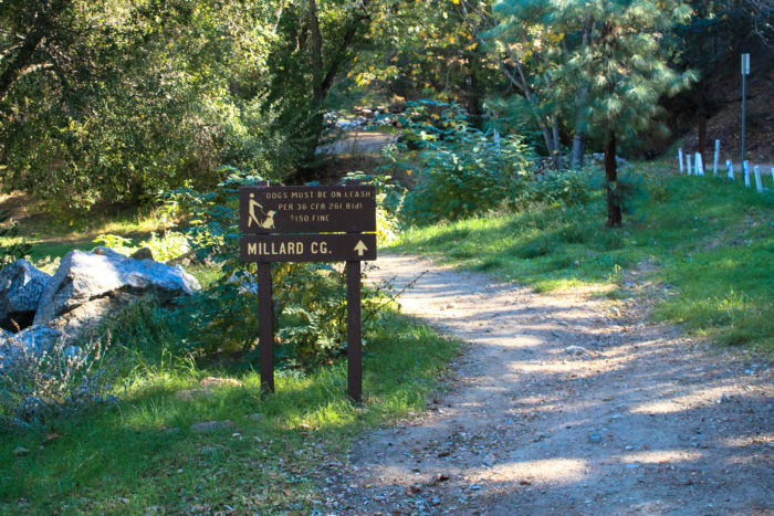 Millard Canyon