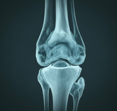 무릎 연골 손상 증상