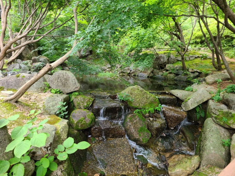 이끼원