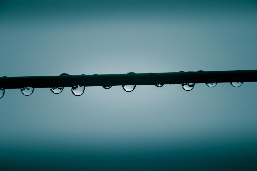 Ulleung-gun