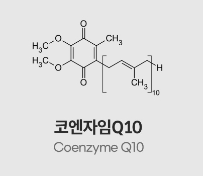 중년 건강기능식품 추천