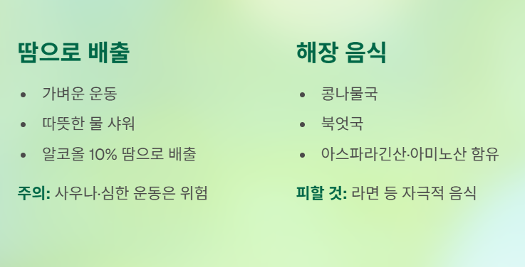 직장인을 위한 과학적 숙취 관리 완벽 가이드