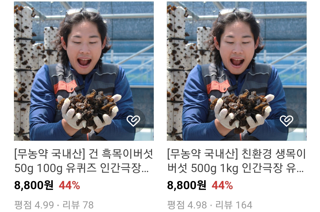 오늘N 이맛에산다 목이버섯