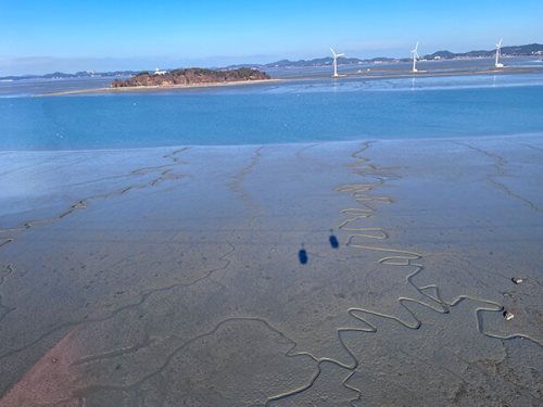대부도 여행 갈만한곳 추천