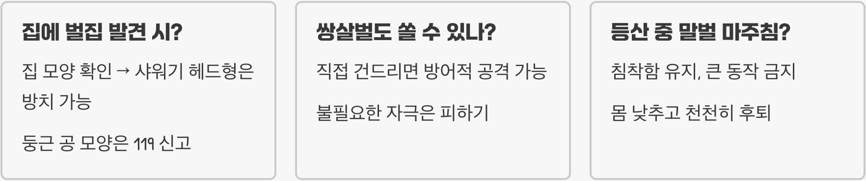 뱀허물쌍살벌과 말벌의 차이점 비교하며 혼동하지 않는 방법