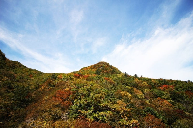 덕항산 등산코스