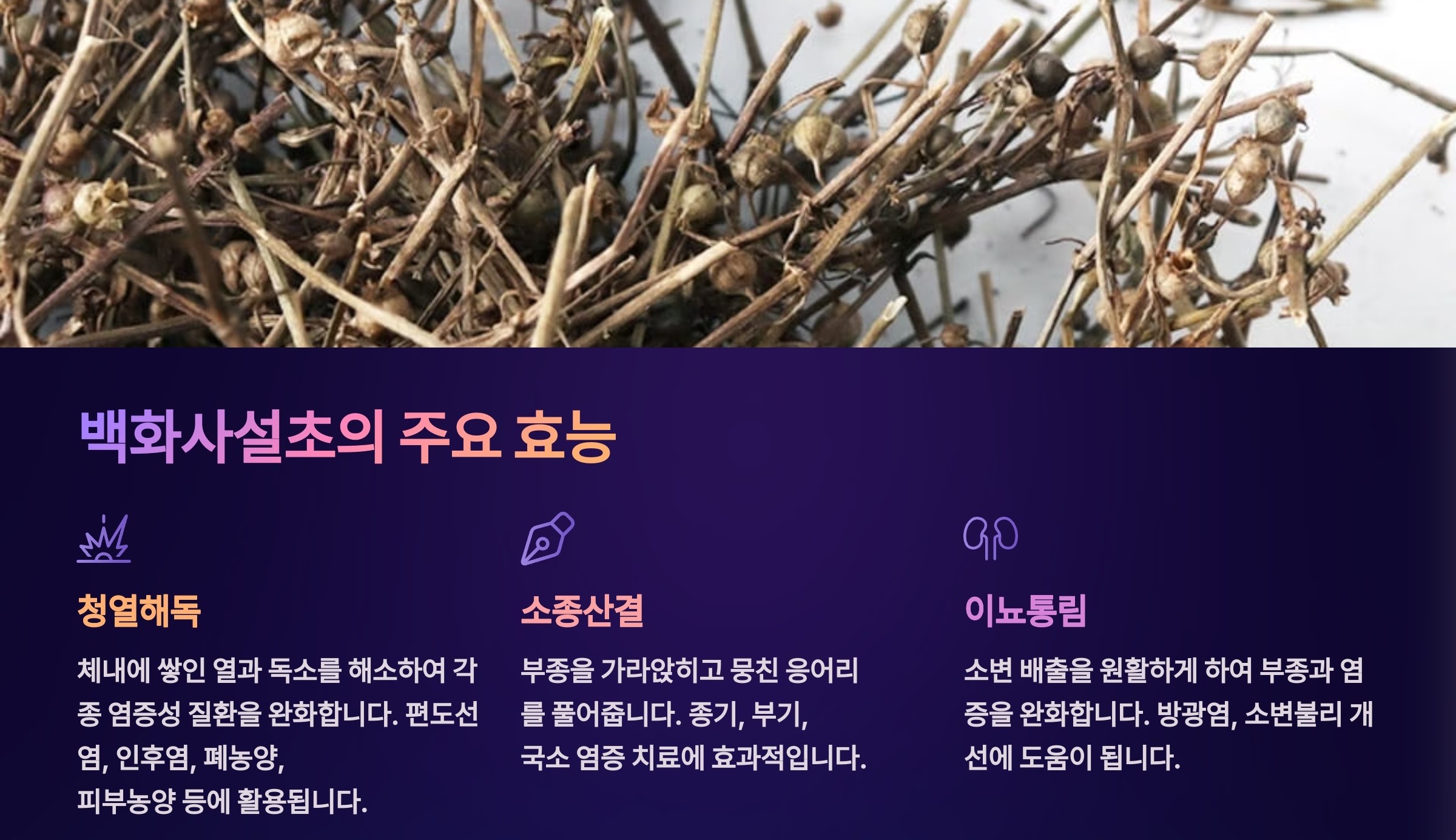 백화사설초 효능