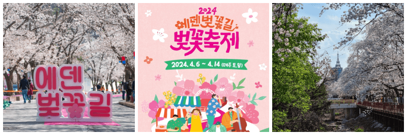 에덴벚꽃길 벚꽃축제 포토&#44; 포스터