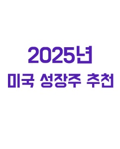 2025년 미국 성장주 추천에 관한 이미지 입니다.