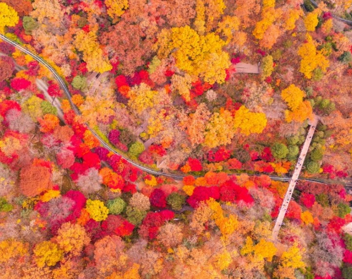 가을 단풍 명소 추천