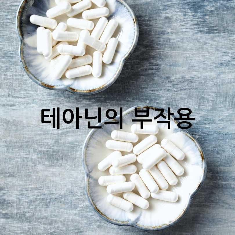 테아닌 효능과 부작용 총정리