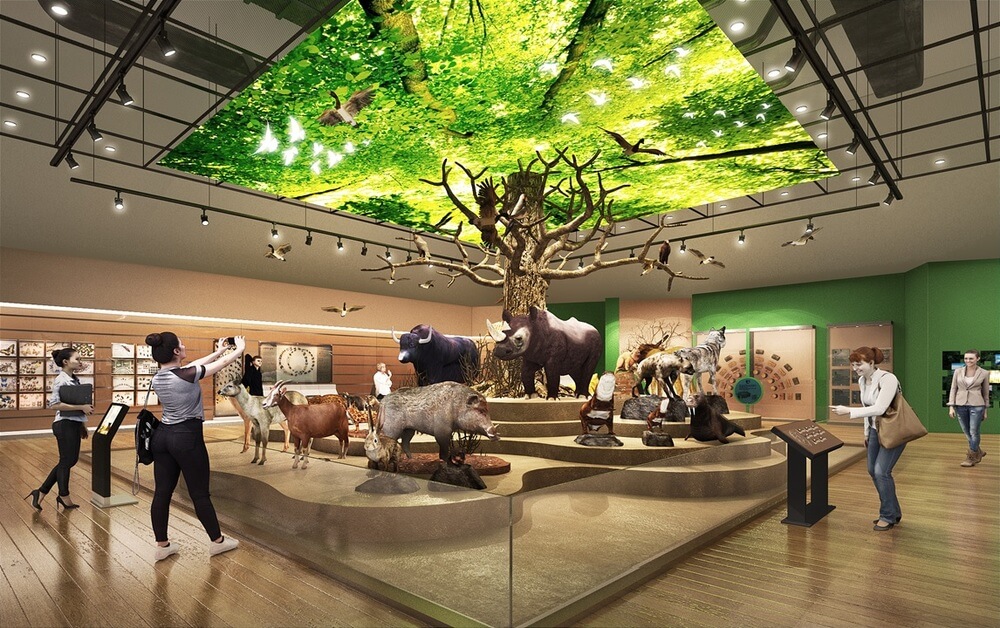 목포 가볼만한곳: 자연사박물관