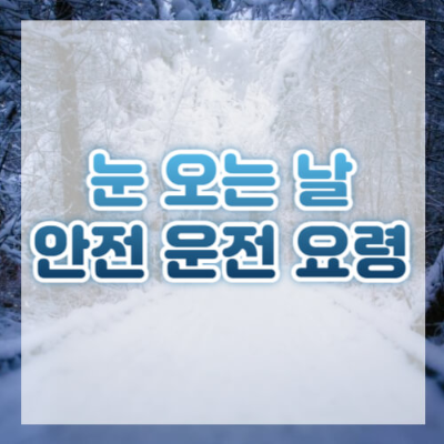 눈 오는 날 운전
겨울철 운전 안전
눈길 운전 팁
블랙아이스 대처법
눈길에서 차 미끄러짐 방지
겨울철 차량 관리 방법
스노우 체인 사용법
눈길 운전 주의사항
겨울철 타이어 점검
눈길 운전 시 차간 거리 유지
겨울철 비상용품 준비
터널 블랙아이스 경고
눈길 도로 운전 요령
겨울철 운전 준비 체크리스트
눈길 미끄러짐 방지 방법
눈길 운전 시 가속 및 브레이크 조절
겨울철 도로 상태 점검
차량 눈길 주행 시 필수 아이템
차량 트렁크에 넣어야 할 겨울철 필수품
눈 오는 날 운전 시 핸들 조작 요령
겨울철 도로의 위험 요소
겨울철 차량 점검 체크리스트
눈길 도로에서 차간 거리 넉넉히 확보하는 법
눈길 운전 중 차 미끄러짐 예방 방법
겨울철 비상등 켜는 타이밍