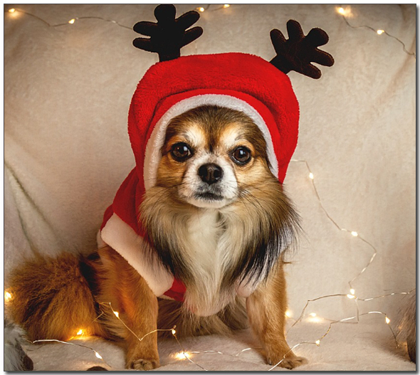 ์ฐํ์ท์ ์
์ ์น์์