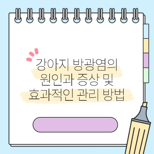 강아지 방광염의 원인과 증상 및 효과적인 관리 방법
