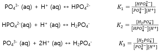 인산 이온과 수소 이온의 단계적 반응