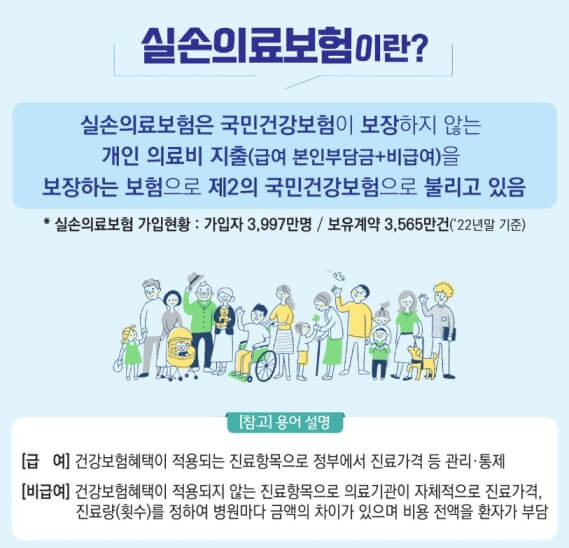 출처 손해보험협회
