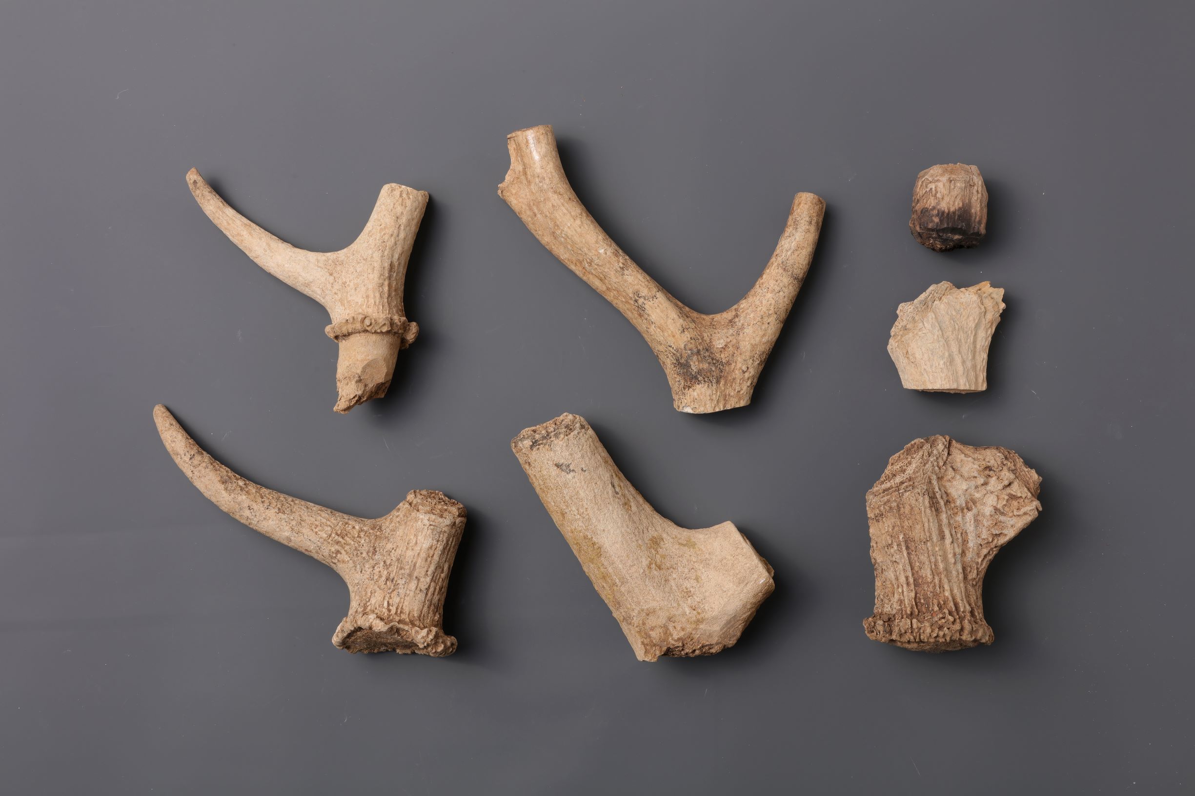 동삼동 패총 전시관