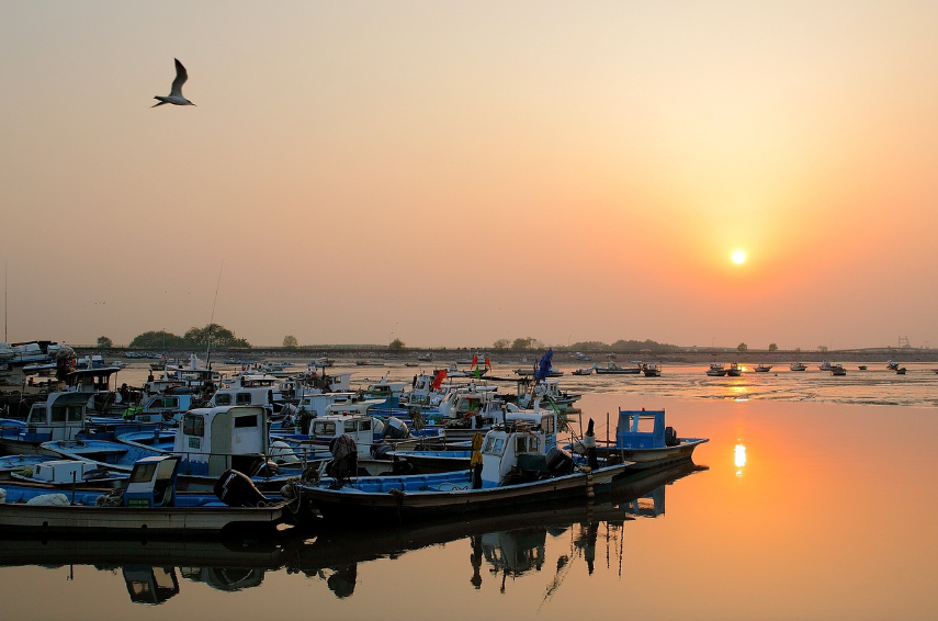 서해안에서 꼭 가봐야 할 명소