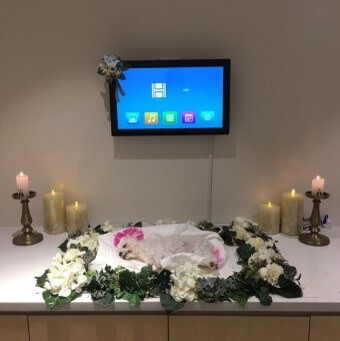 10년넘게-키워던-해피의-동물-장례식