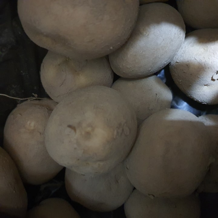 찐감자와 생감자의 차이점