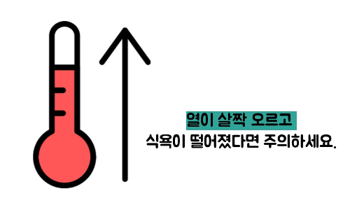 맹장염 초기증상