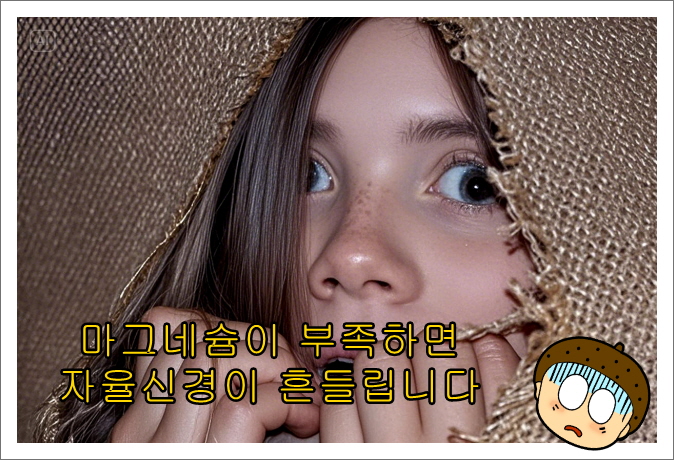 마그네슘이 부족하면 자율신경이 흔들립니다_불안_예민