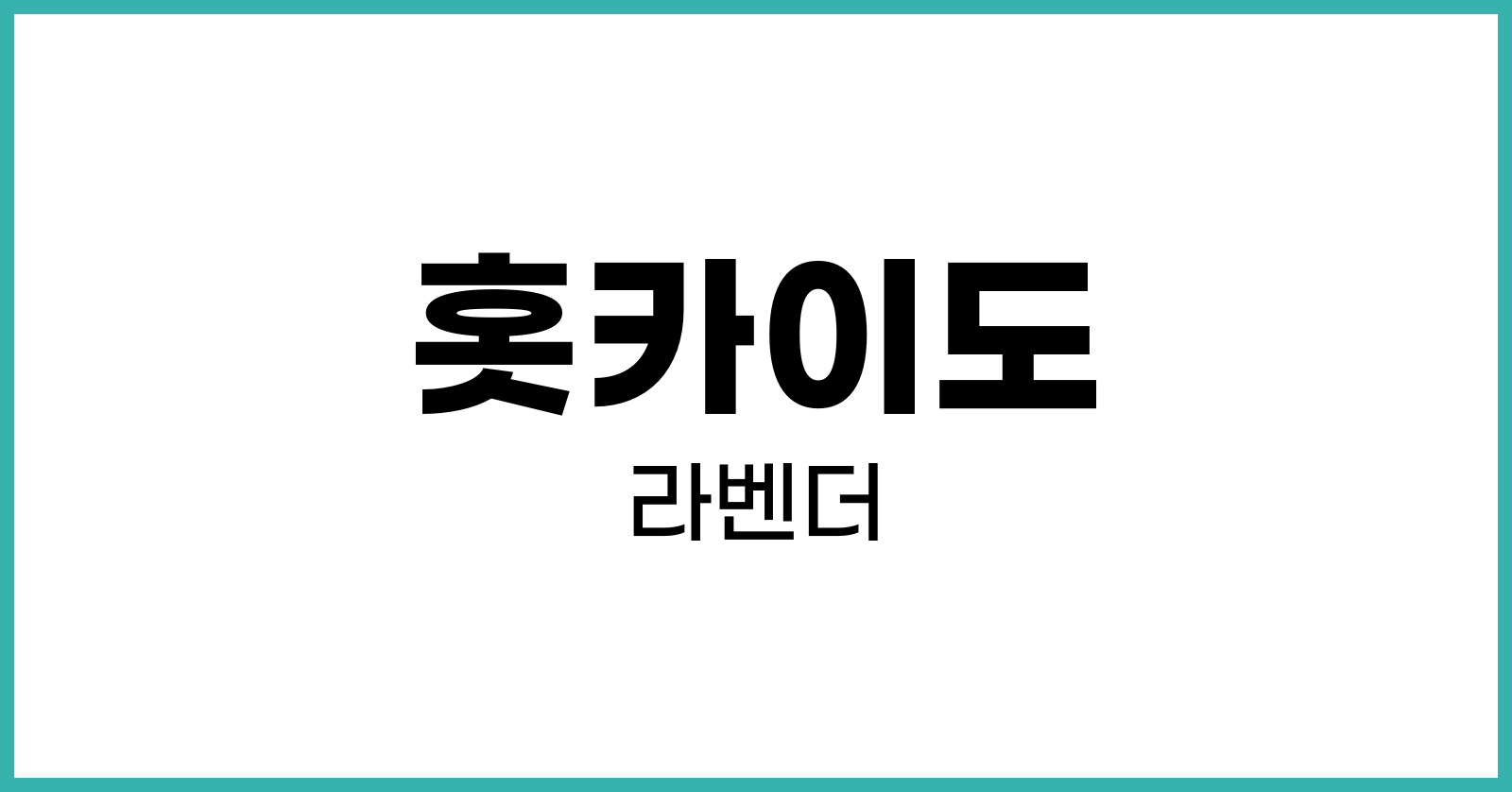 홋카이도라벤더