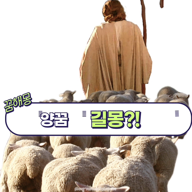 🐑 양 꿈 해몽 20가지 – 순수함, 행운, 희생의 상징