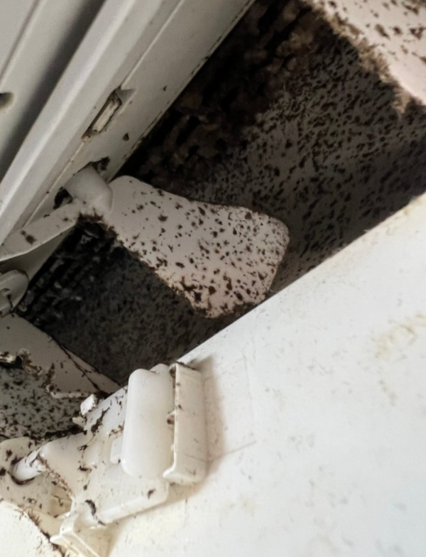 엘지 삼성 에어컨 청소 업체 가격비교 무료견적 신청방법