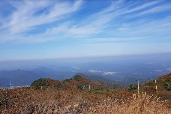 팔공산 하늘정원