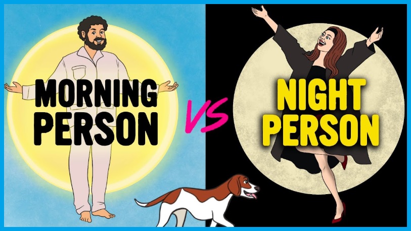 아침형 인간 저녁형 인간의 차이
