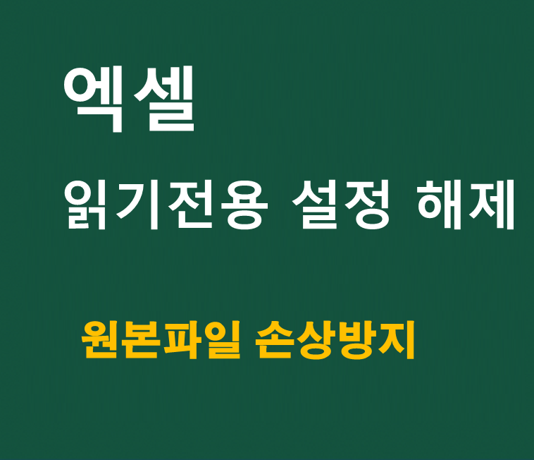 엑셀 파일 '읽기 전용'