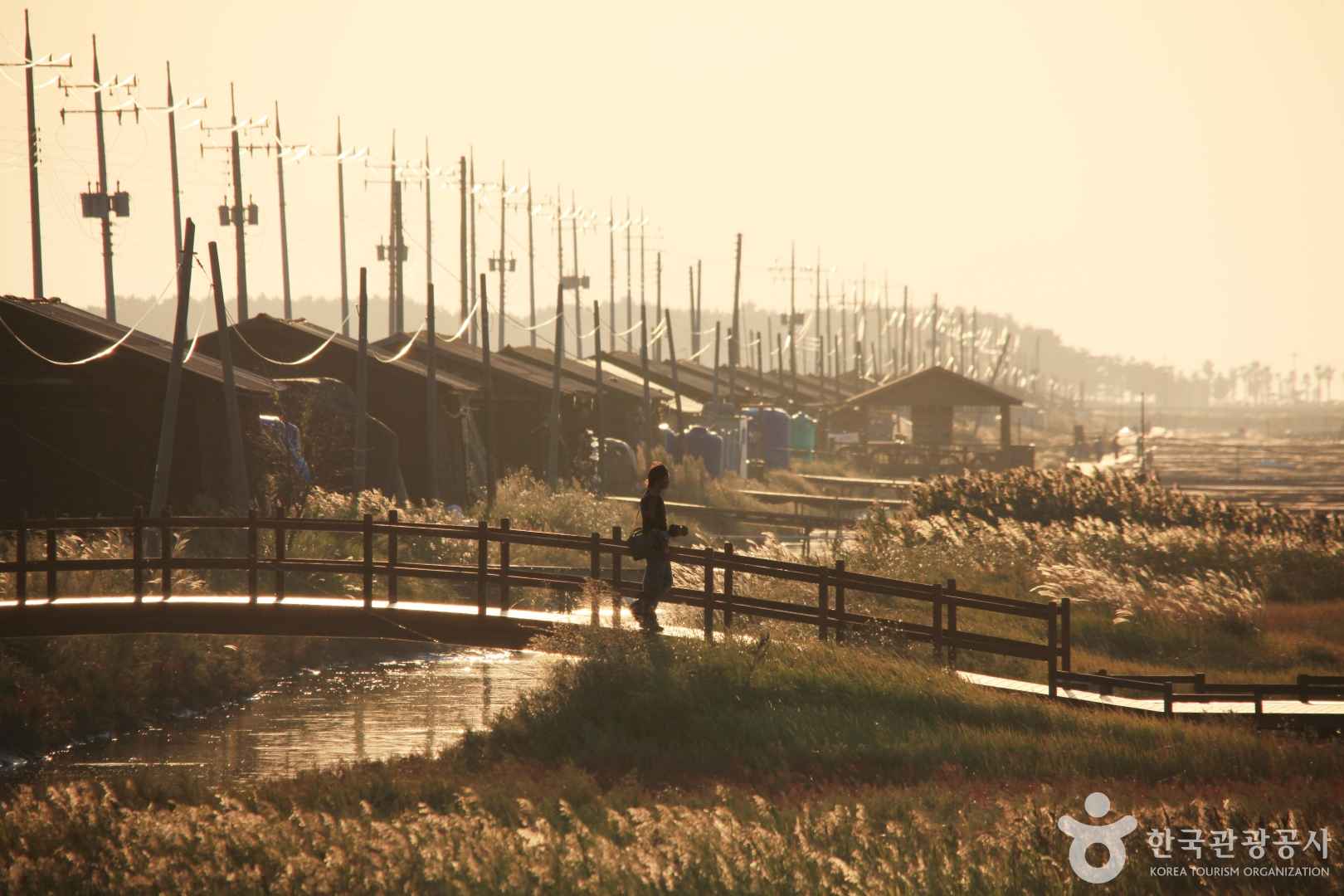 신안 태평염생식물원