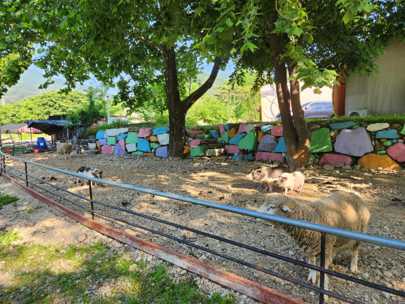 포천 아쿠아마린 글램핑