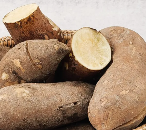 야콘 효능, 혈당 관리와 장 건강에 좋은 이유