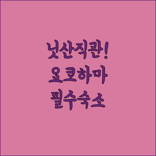 닛산 스타디움 공연 관람을 위한 요코..