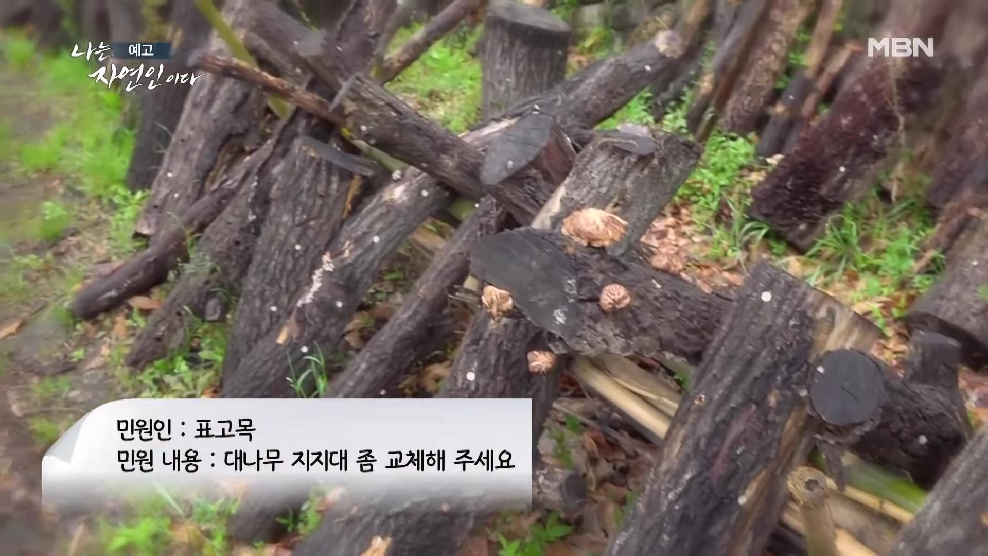 나는 자연인이다 42년 공무원 출신 산야초 대통밥 봄 나물 전 행복산 사랑동사무소 자연인 강이규 소개 및 이승윤 출연 552회 다시보기