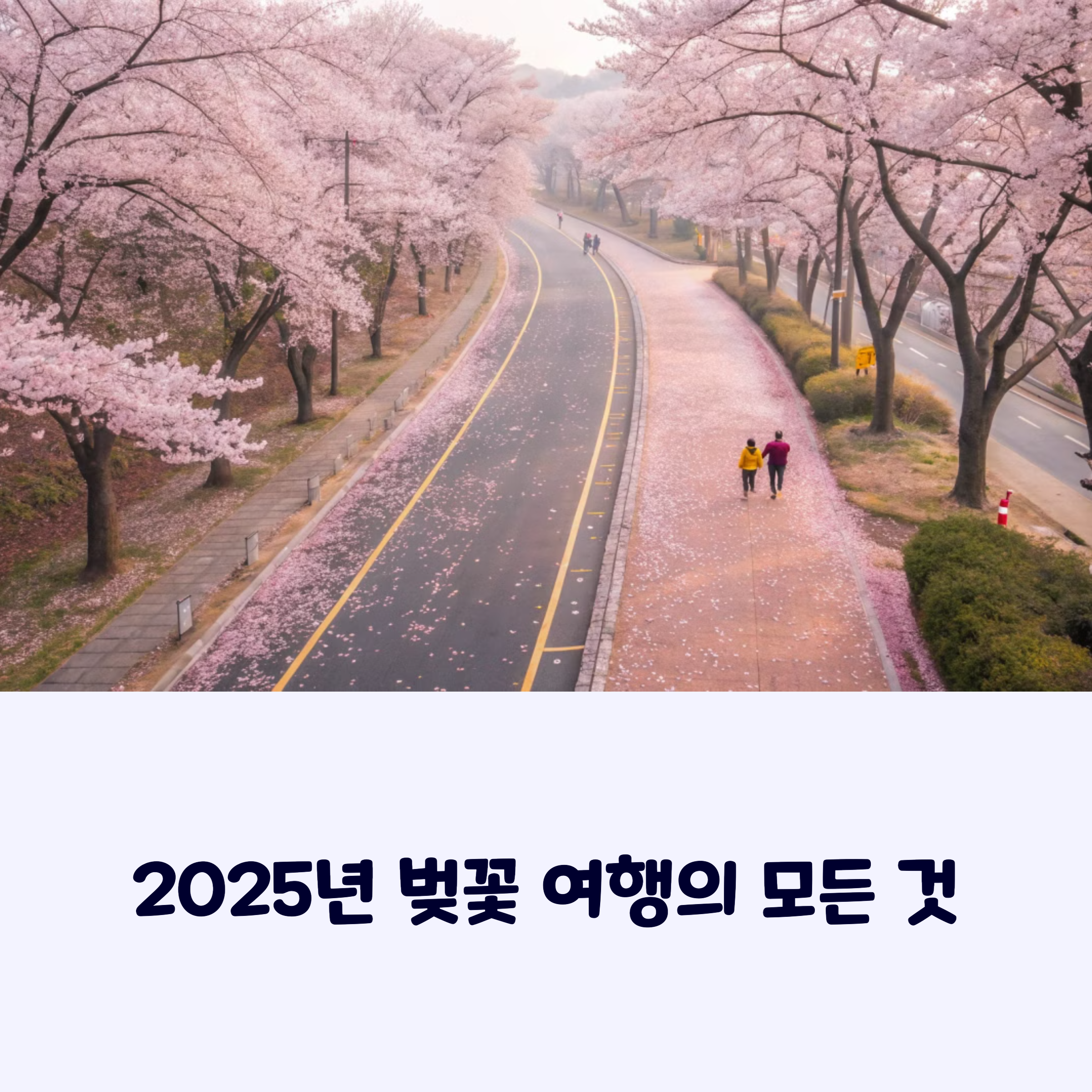 4월 초 전국 벚꽃 명소 지도 한눈에 보기