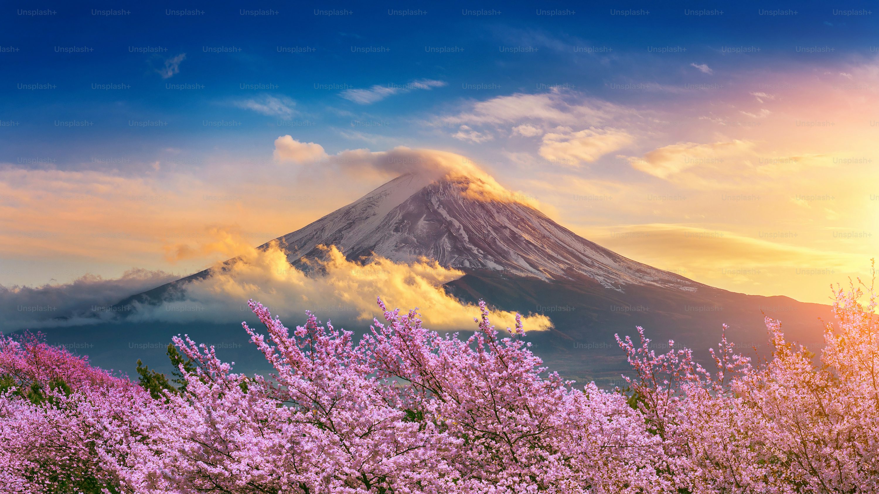일본 후지산