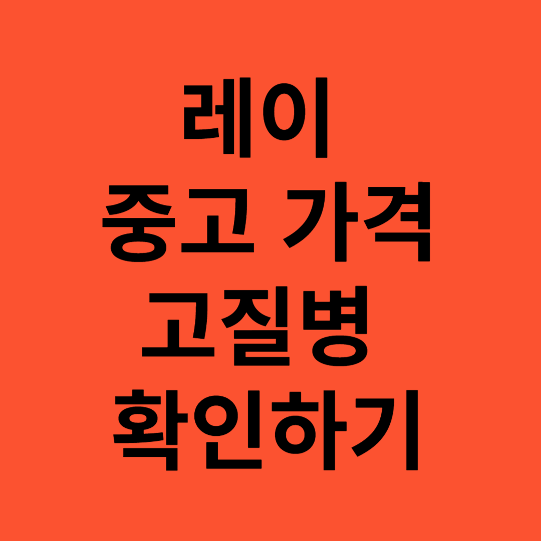 레이 중고 가격 및 고질병