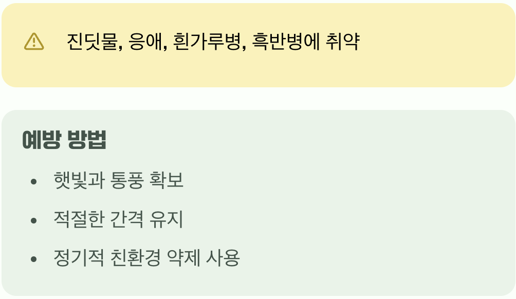 병충해와의 전쟁, 예방이 최선