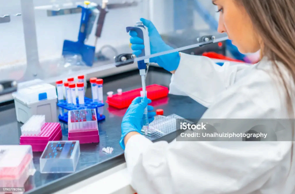 Ureaplasma parvum 양성? 걱정되신다면 꼭 읽어보세요 Ureaplasma urealyticum과 비교 유레아플라즈마 비교