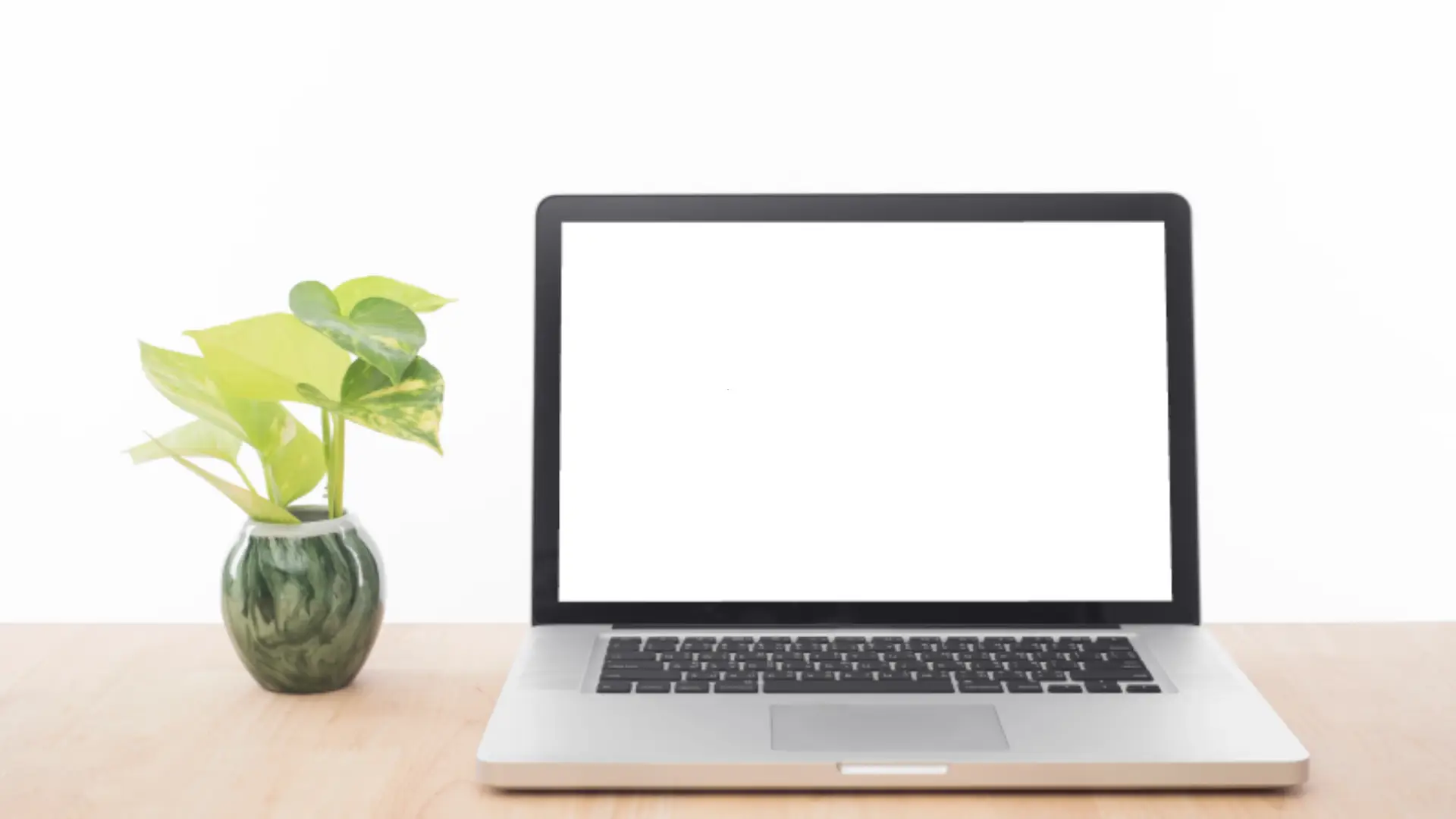 네이버페이 포인트 쿠폰 등록하는 방법_모바일/PC 버전